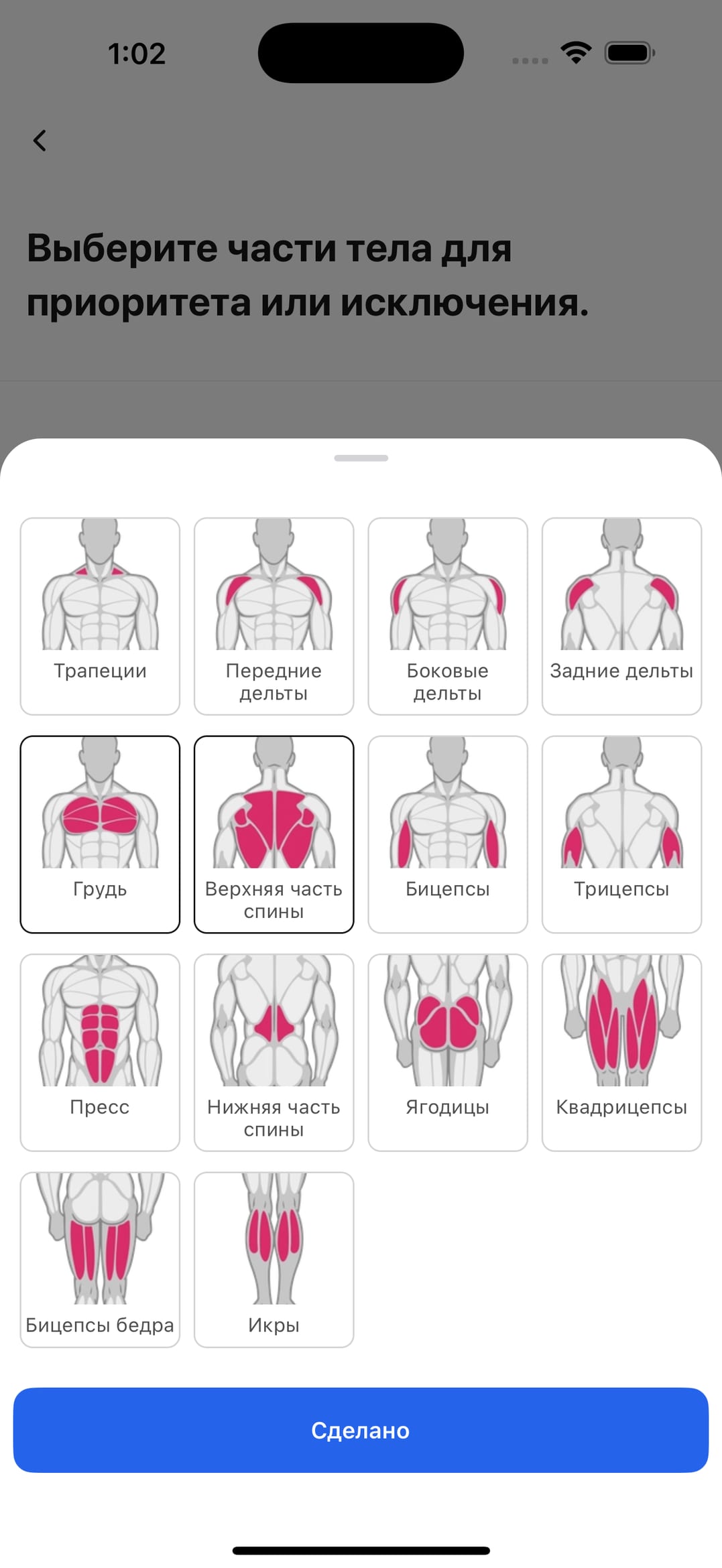 Экран выбора мышечных групп программы