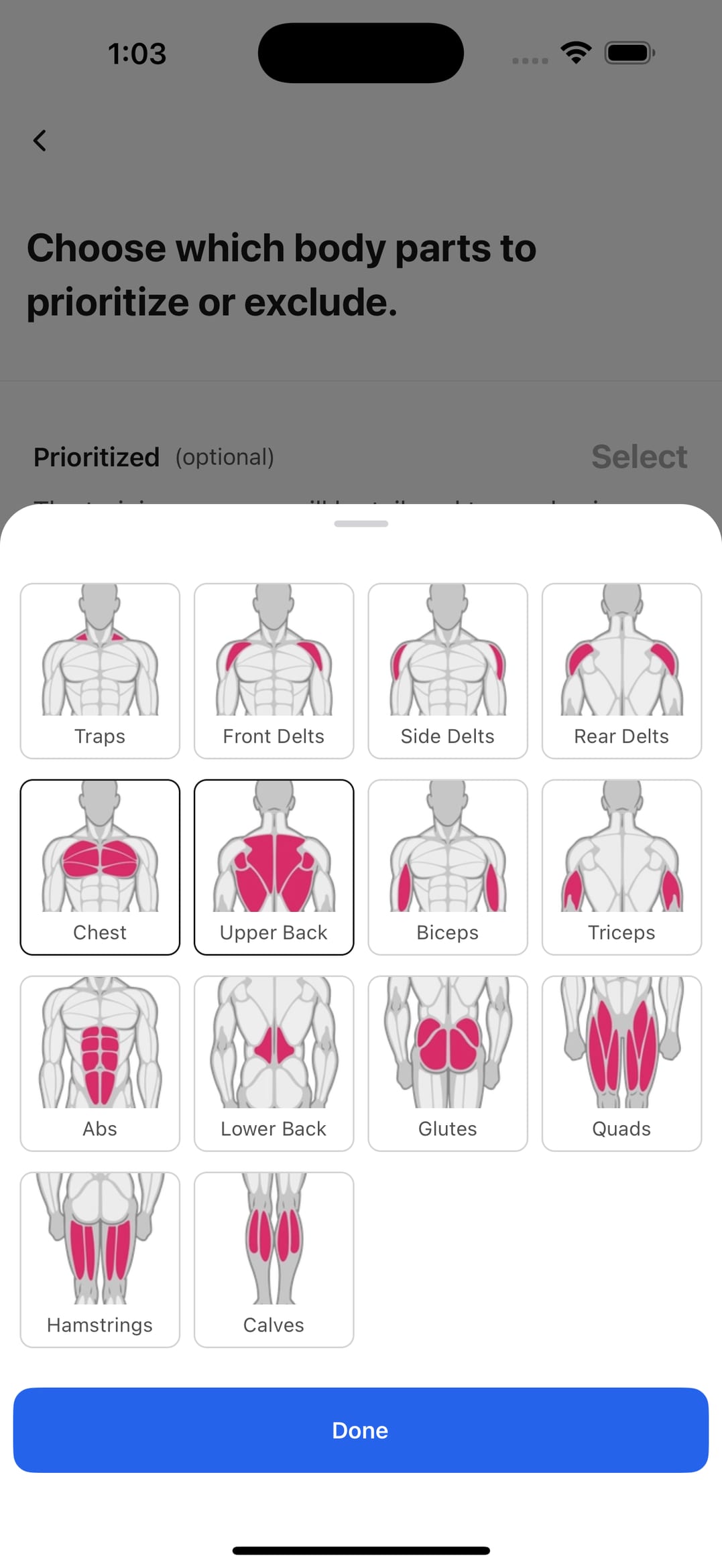 Program body part selection screen